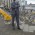 Picture of Idrissa Nenin SOULAMA